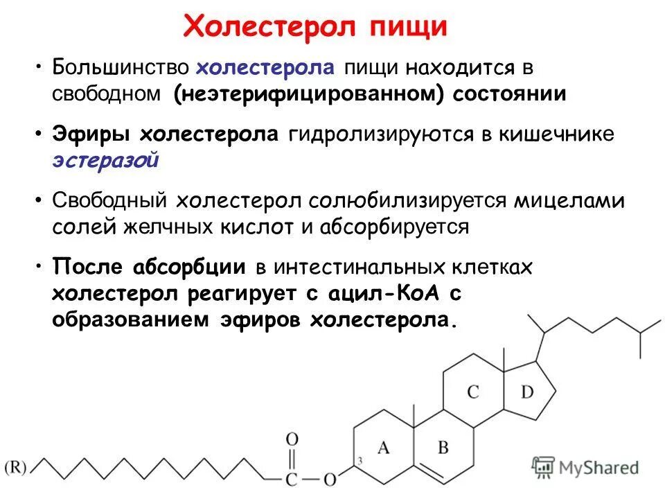 холестерин строение молекулы. строение холестерола биохимия. химическая структура холестерина. холестерин формула структурная. холестерин формула структурная.
