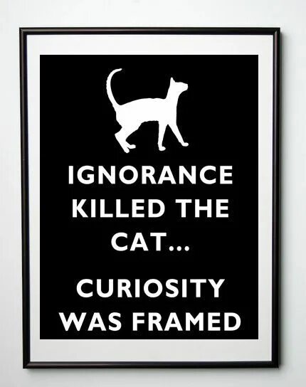Curiosity killing the cat. Curiosity Killed the Cat русский эквивалент. Пословица Curiosity Killed a Cat.. Quotes about Curiosity. Curiosity and the Cats (pt 2).