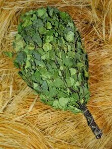Веник лаврового листа