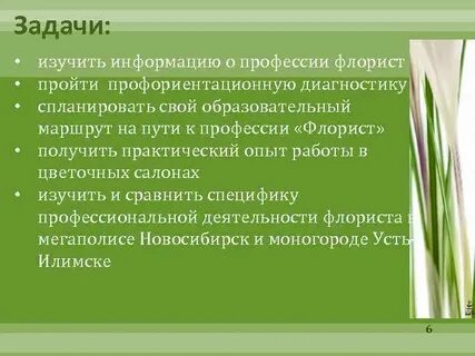 Профессионализмы флориста