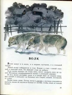 Из каких строчках рассказа