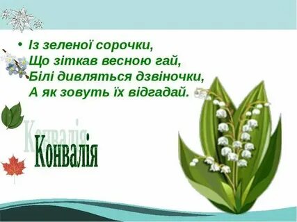 Загадки на белорусском языке 5 класс