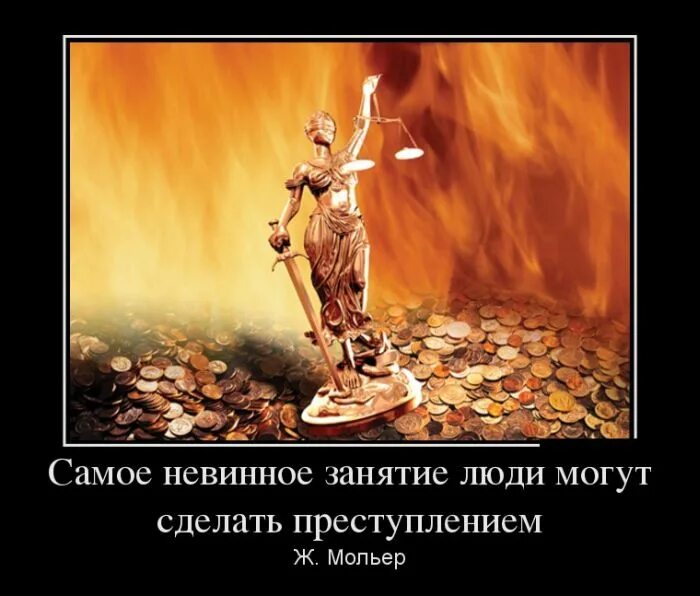 Грэхем человек будущего. Фрин дамон паук. Зверек квокка. Безобидные шутки. Фрин дамон.