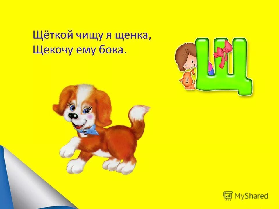 щ. маршак щенка щеткой щекочу. щеткой чищу я щенка щекочу. щеткой чищу я щенка. щеткой чистят щенка рисунок.