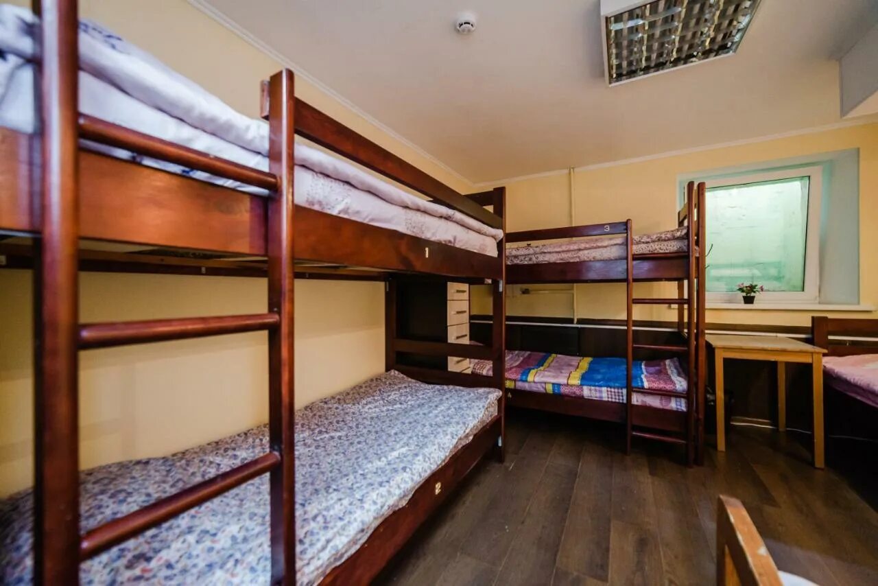 Хостелы в россии. Хостел отзывы. Общежитие. Хостел отзывы. Хостел отзывы.