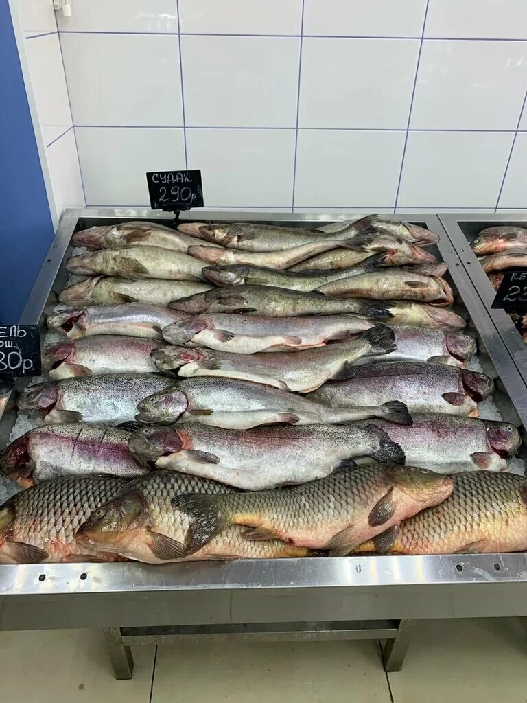 рыба карелии первомайский 30. рыба карелии магазин петрозаводск первомайский проспект. рыба карелии магазин. радужная форель 2 кг. рыба карелии первомайский 30.