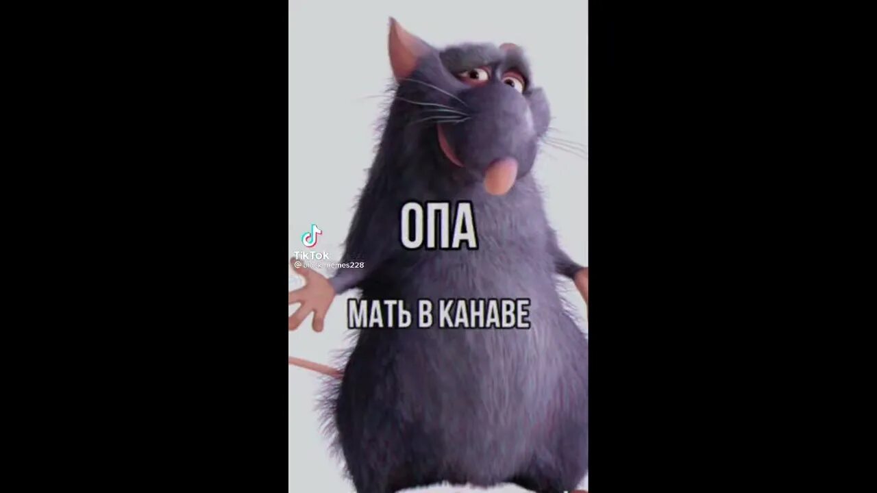 Крыса опа твоя мать. Мем крыса опа твоя мать. Крыса из рататуя мем. Опа мать в канаве мем. Крыса опа.