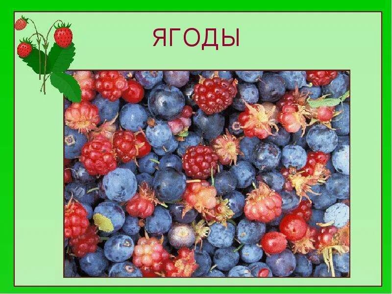 Где находится ягодка