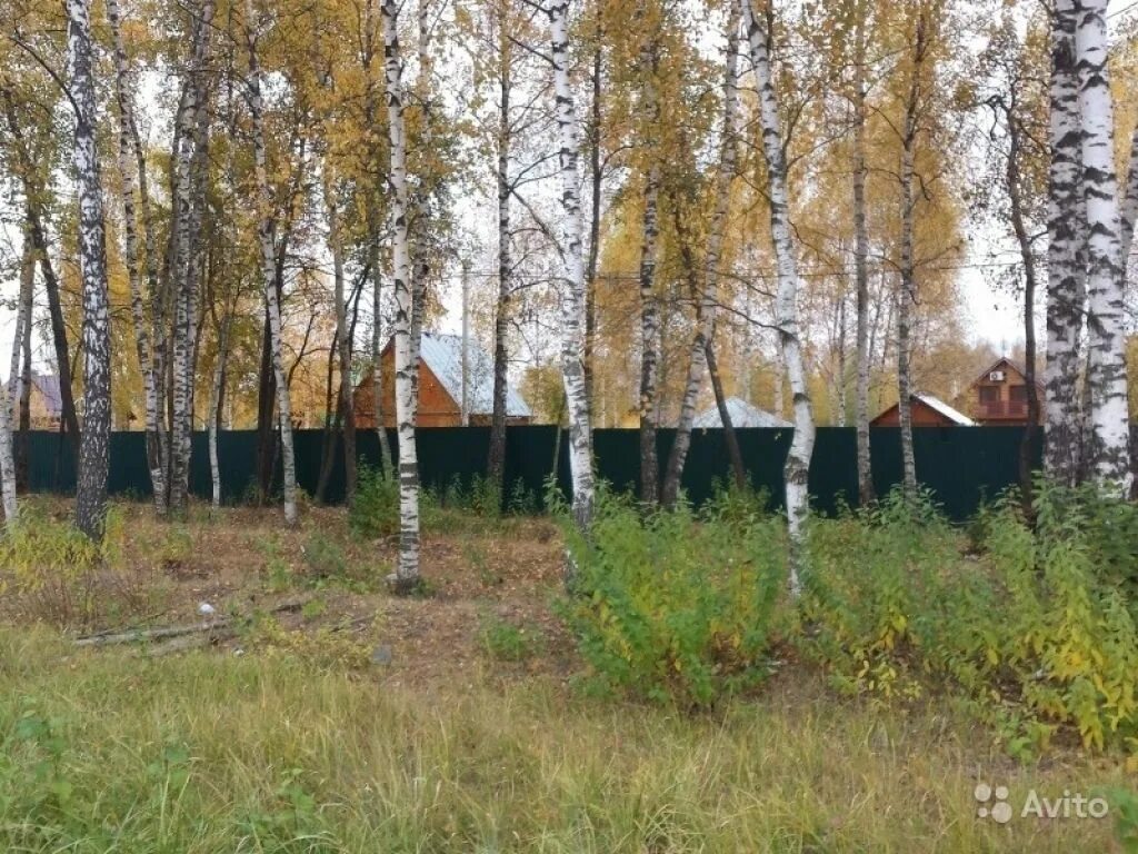 Сельхозназначения днп что это. Сельхозназначения снт днп что это.