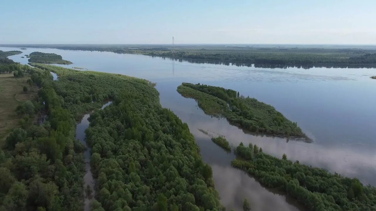 Сургут обь вода. Река Обь. Река Обь в Алтайском крае. Река Обь Сургут. Река Томь с птичьего полёта.