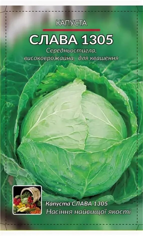 Капуста слава характеристика. Капуста БК Слава 1305. Капуста Слава 1305 характеристика. Капуста сорт Слава. Капуста сорт типа Слава.