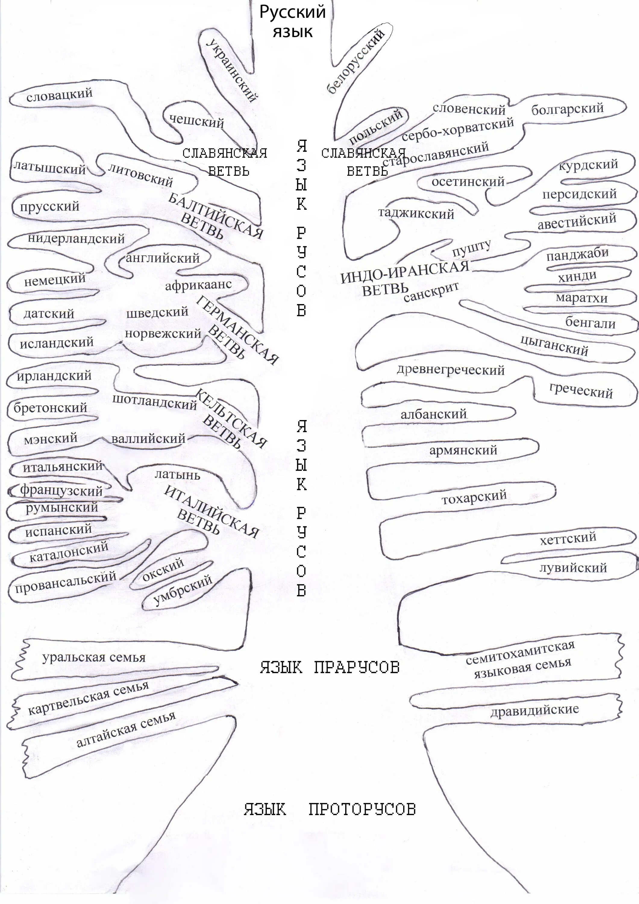 Язык древо жизни на земле рязань 2024. Языковые семьи Древо. Языковое Древо азиатских языков. Генеалогическое Древо языков. Языковое Древо индоевропейских языков.