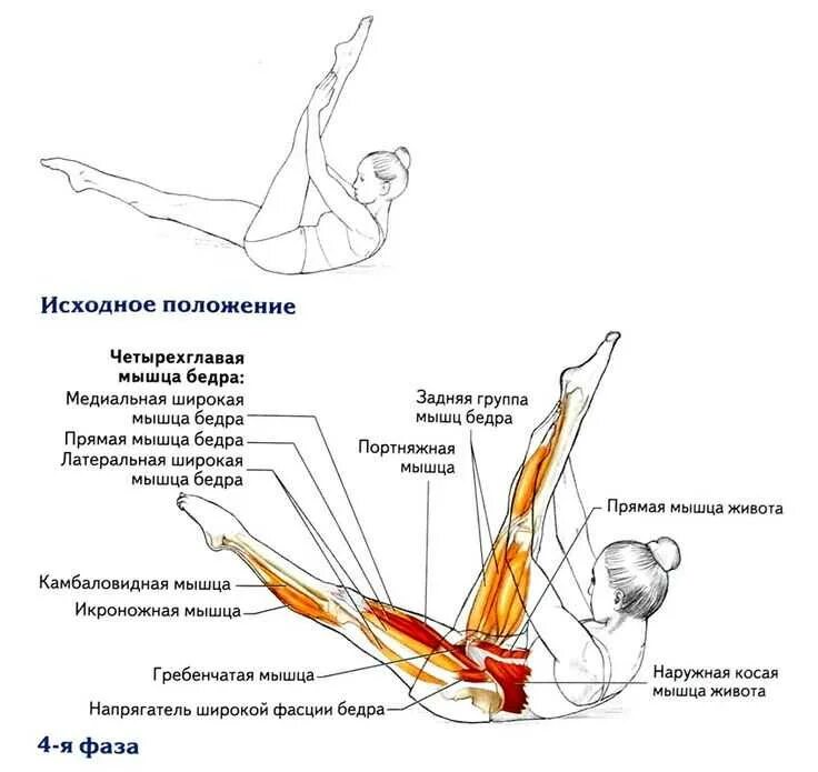 Растяжка задних мышц. Растягивание мышц задней поверхности бедра. упражнения на растяжение задней поверхности бедра. растяжка задней мышцы бедра упражнения. упражнения для растяжки заднего бедра.