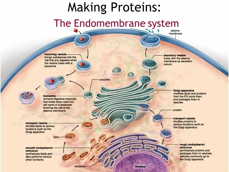 Research summarized in a visual display