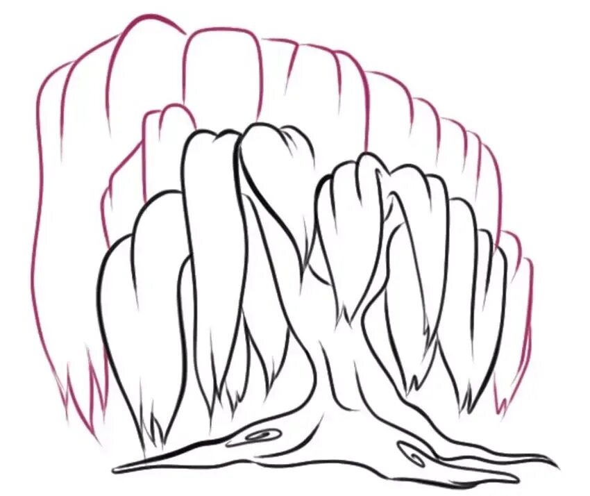 Плакучая ива карандашом. Ива рисунок. Как нарисовать иву. Ива плакучая дерево эскиз. Как нарисовать иву.