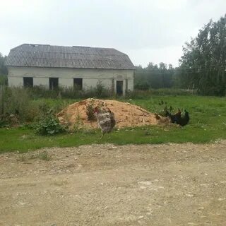 Шарлово ульяновская область