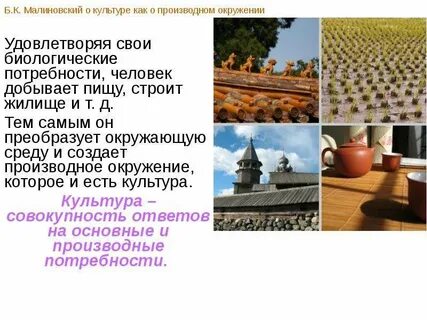 Культура б