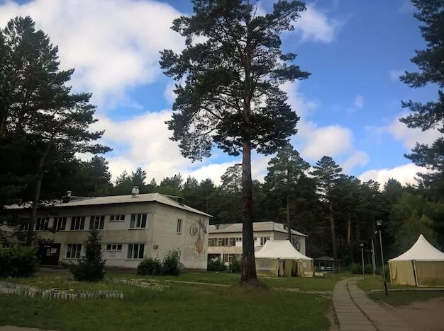 Лагерь Орбита Железногорск. Лагерь Орбита Красноярский край. Лагерь Орбита Железногорск Красноярский. Детский лагерь Орбита Железногорск Красноярский край. Лагеря железногорска красноярского края