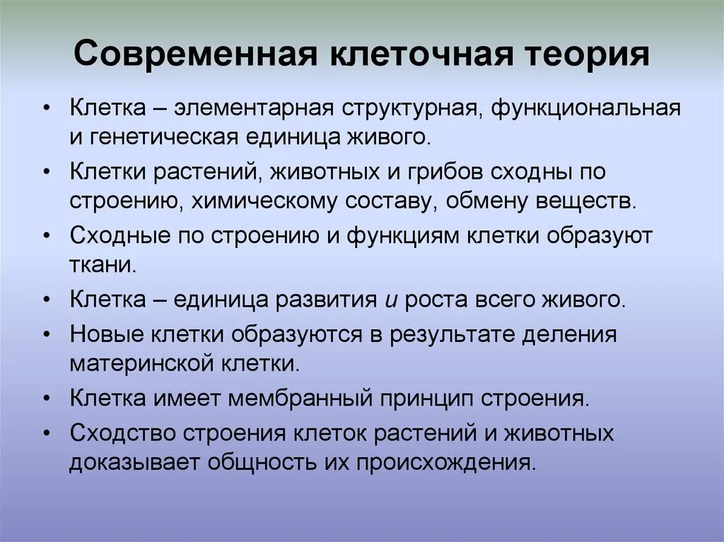 Современная теория строения. Современная клеточная теория. Современное состояние клеточной теории. Основные положения клеточной теории. Современное состояние клеточной теории кратко.