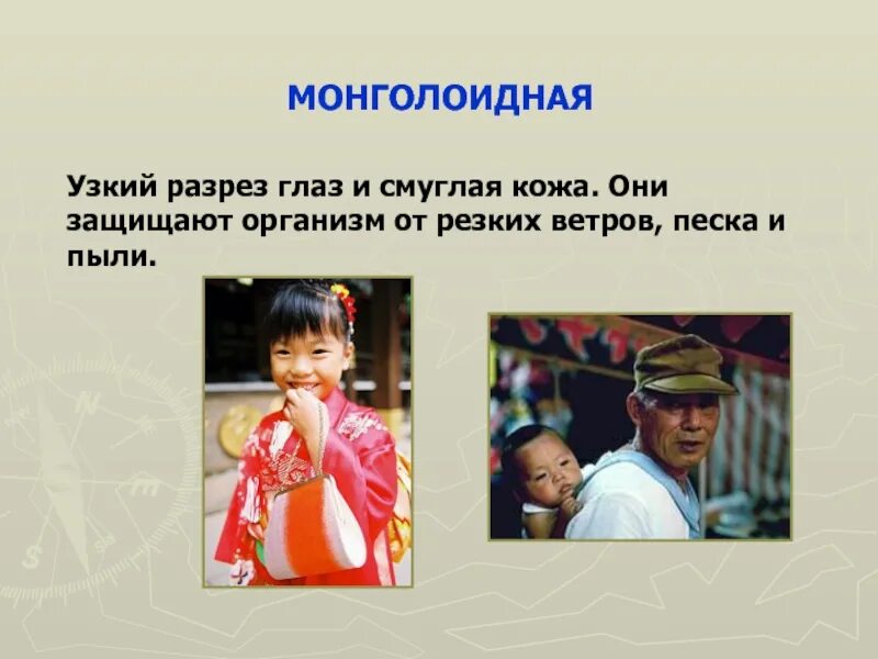 Какие губы у монголоидной расы. Расы презентация. монголоидные народы.
