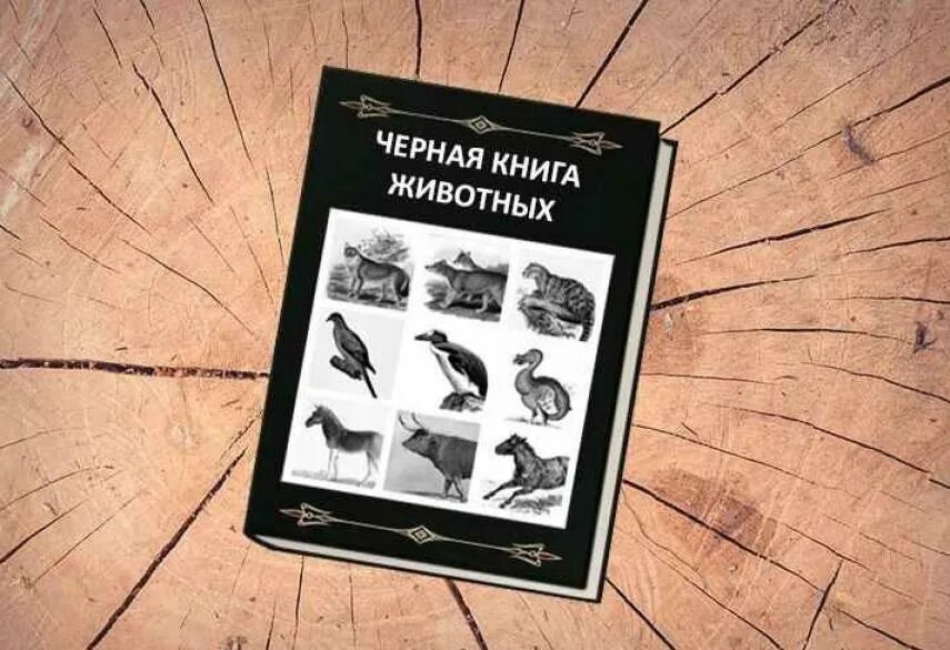 Как выглядит том книга. Лев толстой анна каренина первое издание. Древние книги. Том книга. Книга капитал карла маркса 3 тома.