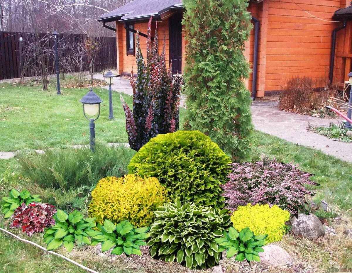 Миксбордер с туями. Хвойный миксбордер. Туя смарагд,можжевельник казацкий,горная сосна-клумба. Туя тунберга. Хвойно лиственный миксбордер.