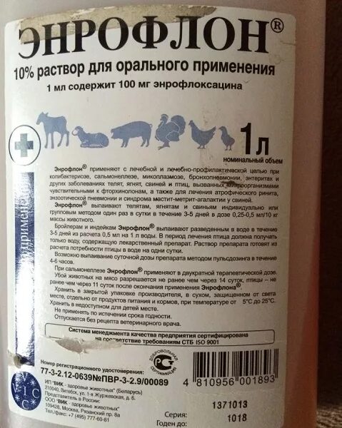 Применение энрофлона 10. Энрофлон 10% антибиотик 10мл. Лекарство для птицы энрофлон. Энрофлон для цыплят бройлеров. Антибиотик для кур энрофлон.