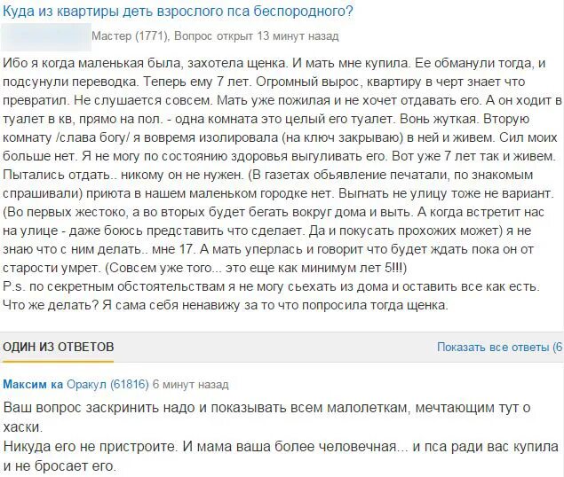 Как уговорить маму на собаку. Как уговорить родителей купить щенка. Как уговорить маму купить щенка. Как уговорить родителей купить собаку. Как заставить родителей завести собаку.