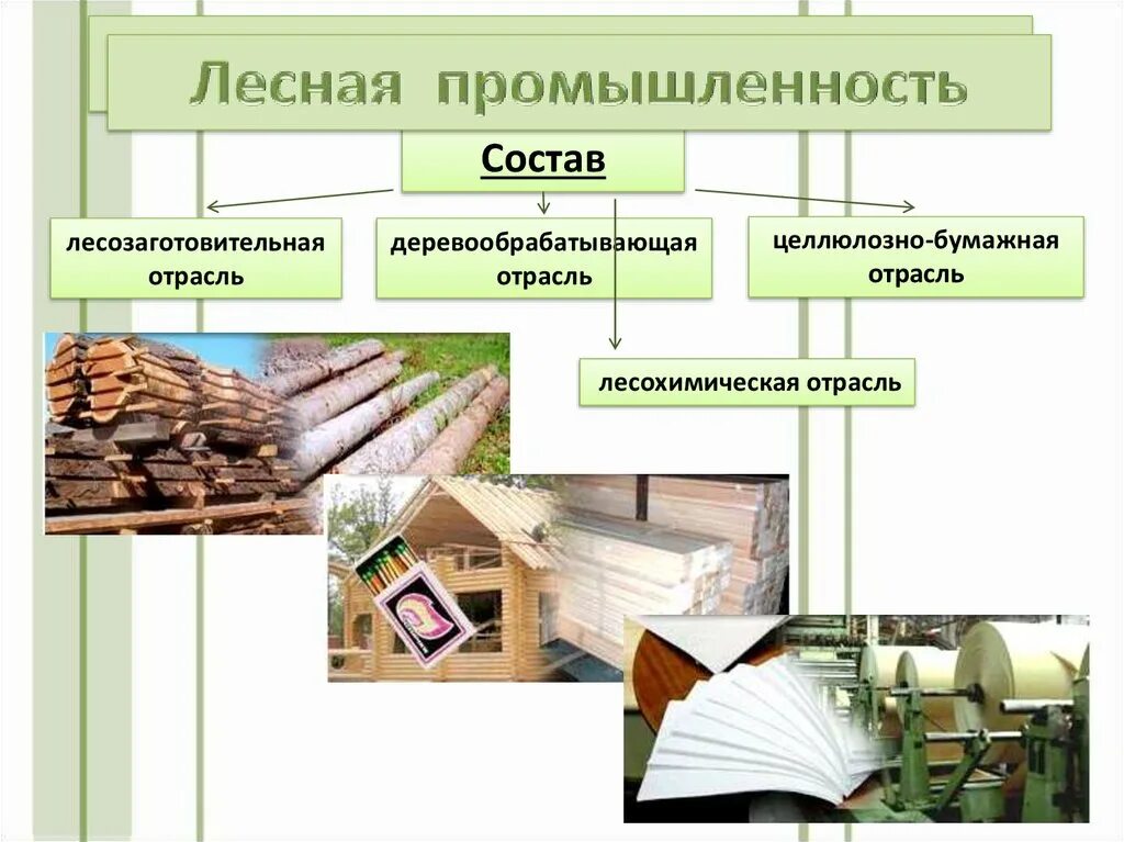 Фактор производства бумаги. Лесная и деревообрабатывающая отрасли в России. Лесная промышленность.9 класс география. Лесная промышленность России.9 класс география. Лесной комплекс целлюлозно бумажная промышленность.