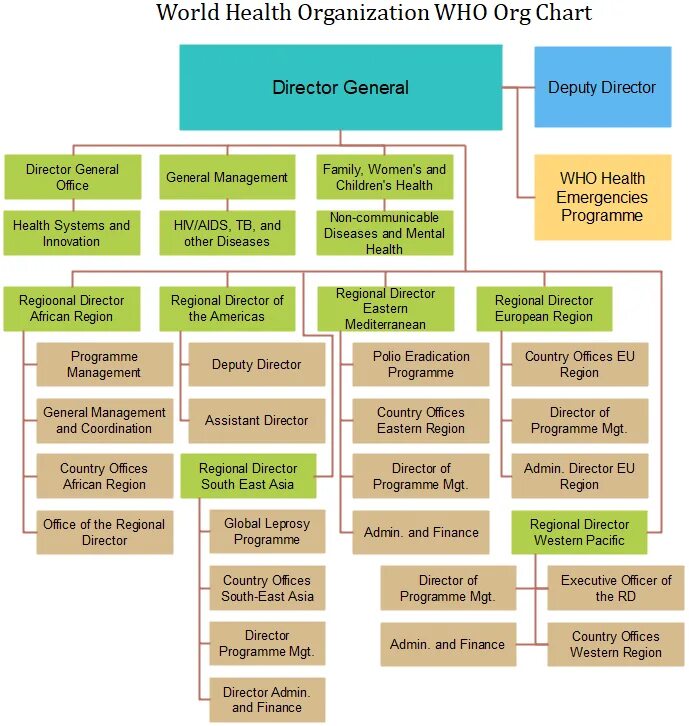 Org Chart. Org Organizational Chart. World Health Organization. Org Organization.