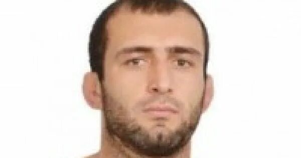 Газиев магомед боец. Национальность шамиля газиева. Гаджимуса газиев. Национальность шамиля газиева. Национальность шамиля газиева.