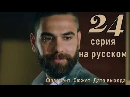 Воссоединение 24