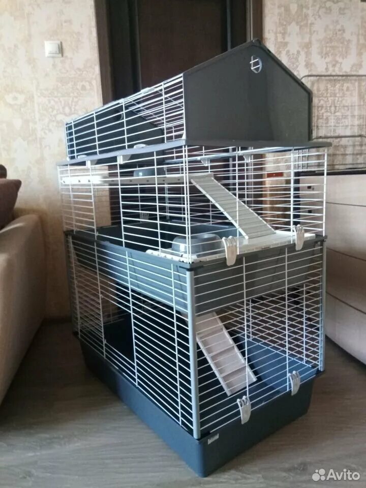 Library ferret 1.19