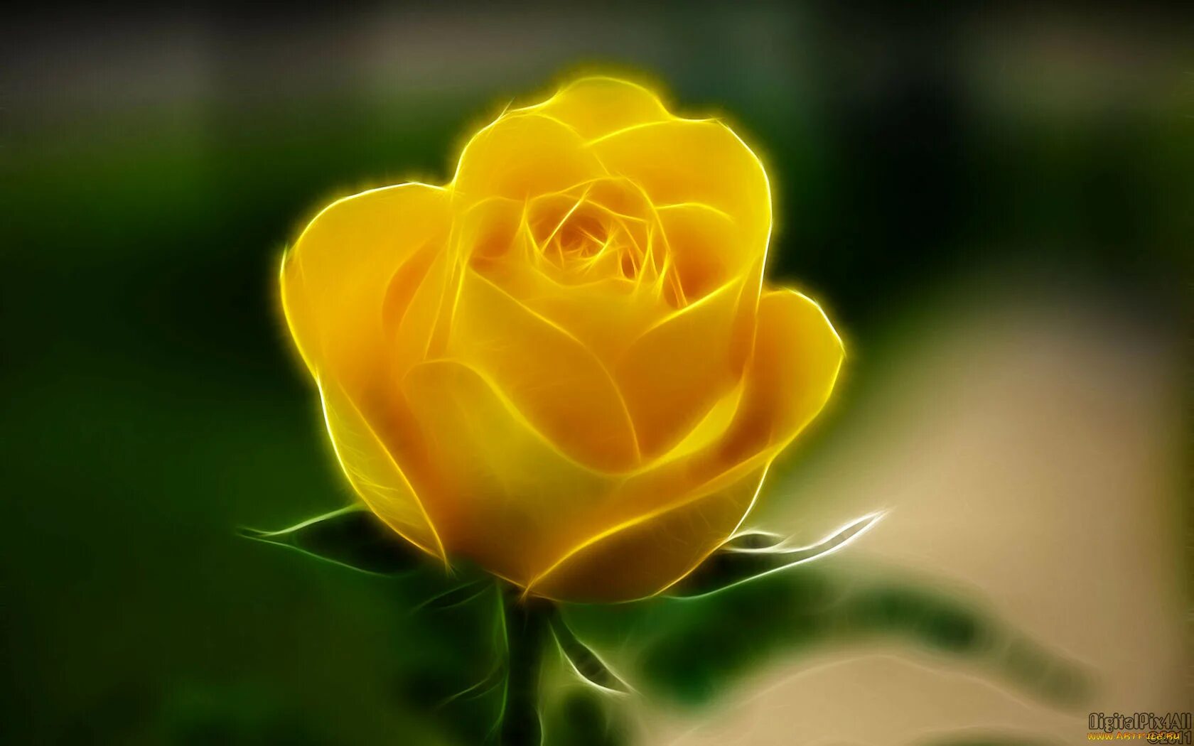 желтую язык желтый розы. желтую язык желтый розы. желтые розы. желтые розы. желтую язык желтый розы.