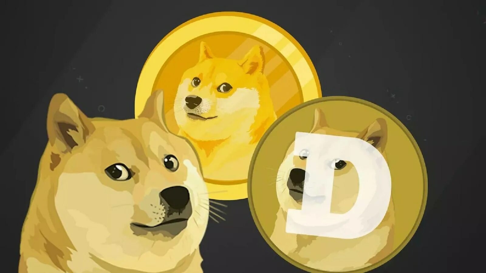 Сиба-ину Dogecoin. Сиба ину токен. Doge монета. Додж коин. Монета meme