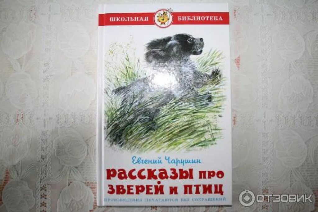 Чарушин рассказы про птиц. Книга чарушин рассказы про зверей и птиц. школьная библиотека. рассказы о животных. мы читали книгу про животных.