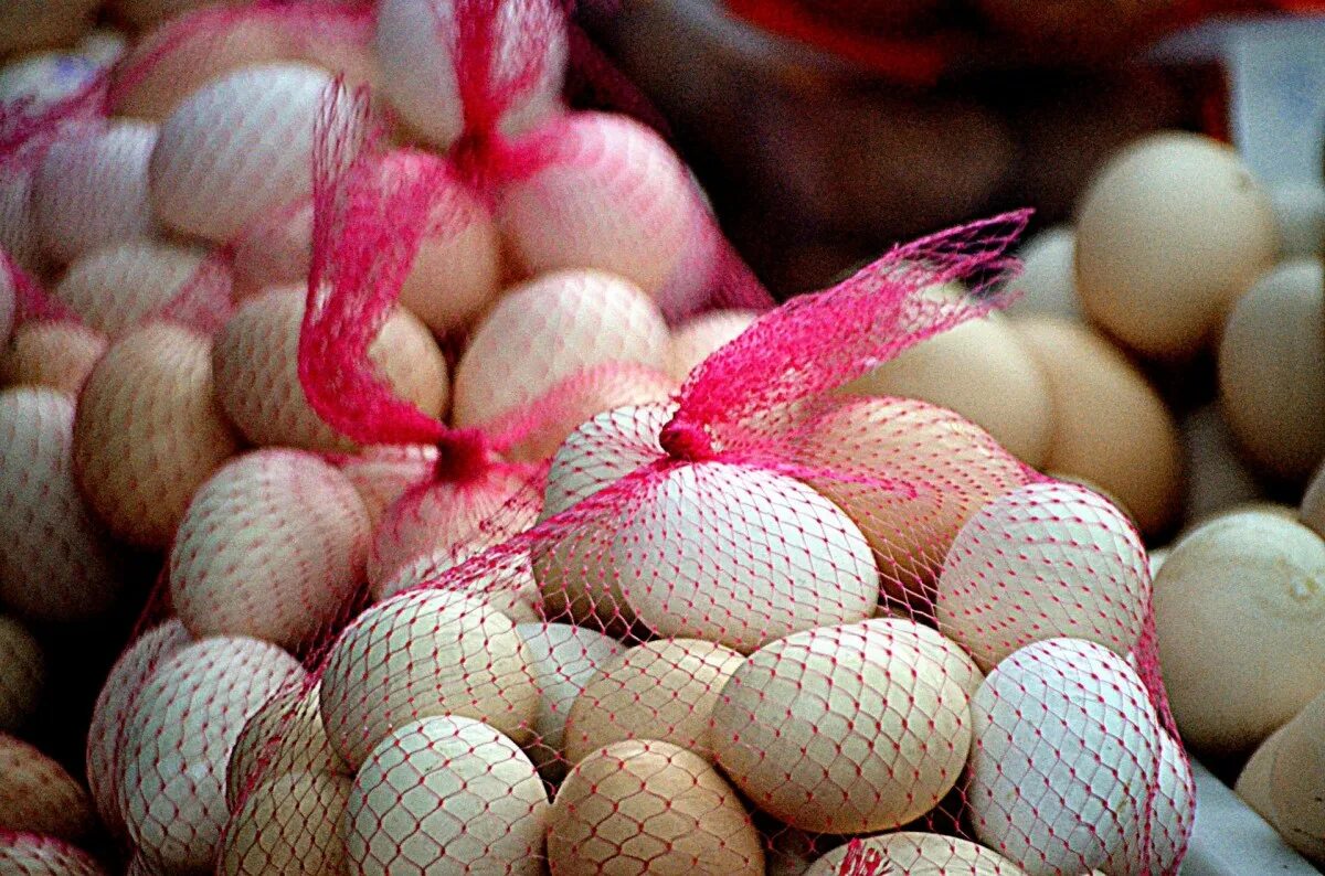 Egg net