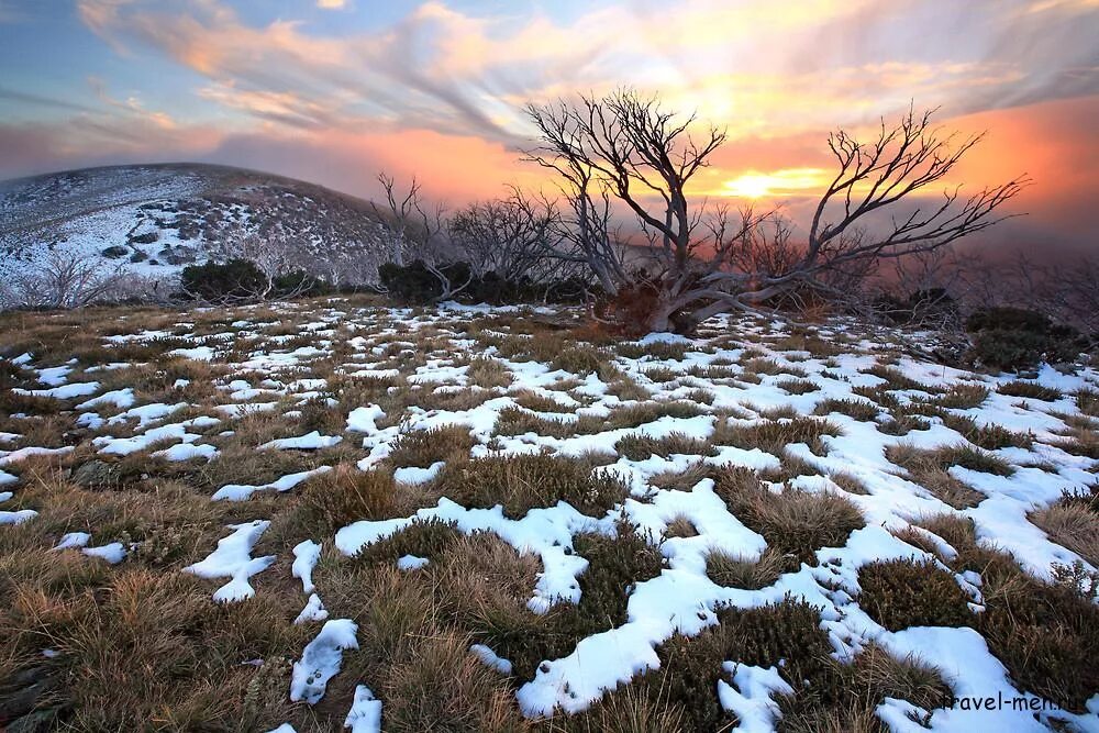 снег в австралии. температура в австралии. в австралии зимние месяцы являются. кенгуру зимой. канберра зима.