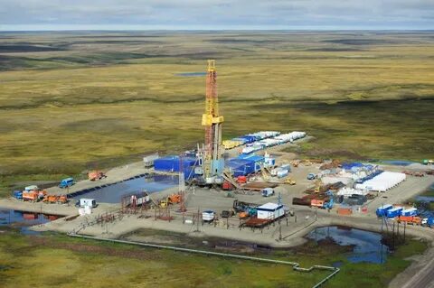 ново пальяновское нефтяное месторождение