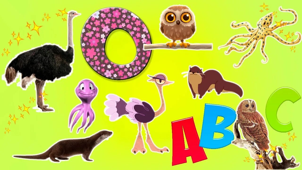 Abc animals. Wild animals abc. abc animals alphabet. abc для детей. learn alphabet with cartoon and real animals.
