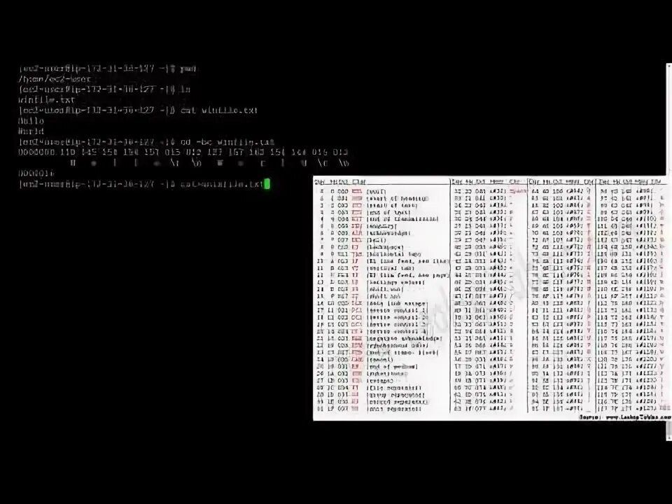 Unix конвертер. Unix конвертер