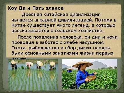 Хозяйство китая кратко