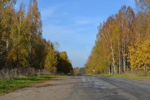 Последнее солнечное