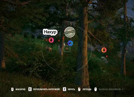Нахур фар край