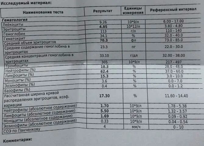 Анализ крови из пальца норма показателей. Анализ крови с пальца расшифровка норма. Анализ крови из пальца норма у женщин. Анализ крови из пальца норма у детей. Когда можно сдавать общий анализ крови