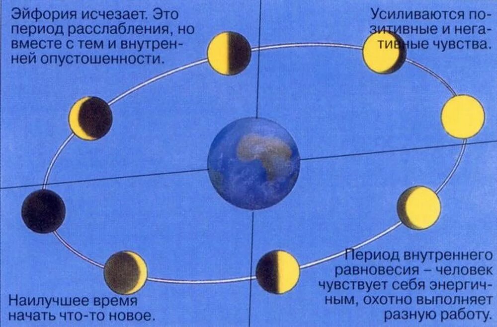 Влияние фаз Луны на человека. Цикл Луны. Влияние лунных фаз на организм человека. Влияние Луны на Продолжительность дня. Почему луна половина