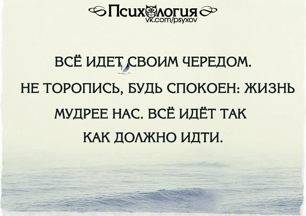 Времени жил спокойной и. Все идет своим чередом. Не торопись все идет своим чередом. Не торопиться цитаты. Цитата все идет своим чередом.