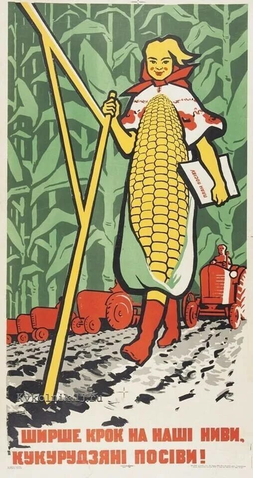 Большая кукурузина. Хрущев и кукуруза. Кукуруза СССР Хрущев. Советские плакаты про кукурузу. Хрущев и кукуруза плакат.