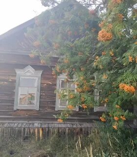 Сосновка бессоновский