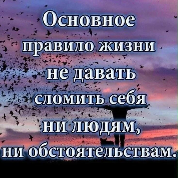 Основное правило жизни не давать сломить себя. Основное правило жизни. Главное правило жизни. Афоризмы про обстоятельства жизни.